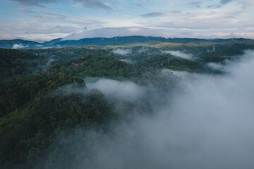 Mists at sunrise,Morning fog and mountains in the forest