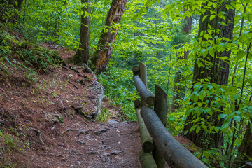 Walking trail in nature preserve of Delaware Water Gap National Recreation Area in Pennsylvania.