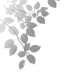 Obraz premium Branch with Detailed Leaves in Monochrome Design Isolated on a Transparent Background, Nature Inspired Graphics for Designers