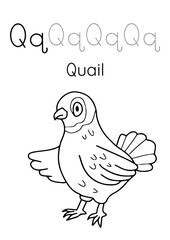 Fototapeta premium Develop Writing Skills and Spark Creativity through Fun Coloring Activities