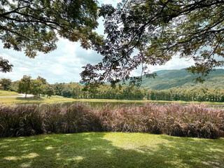 Beautiful serene lake with fountain grass, green lawn, rain trees under a sunny sky, with highland mountain at the background. European and American feel . Lake house by the lake.