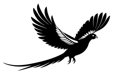Pheasant Silhouette vector illustration 
