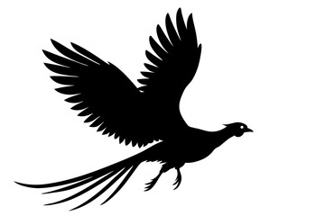 Pheasant Silhouette vector illustration 
