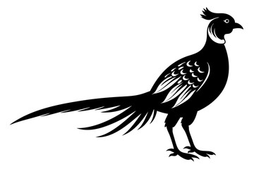 Pheasant Silhouette vector illustration 
