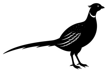 Pheasant Silhouette vector illustration 
