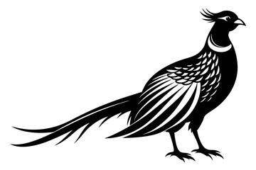 Pheasant Silhouette vector illustration 
