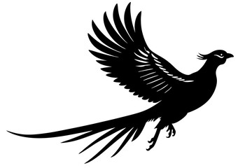 Fototapeta premium Pheasant Silhouette vector illustration 