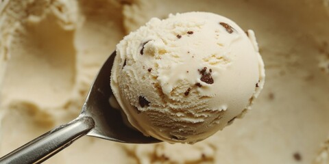 Chocolate chip ice cream scoop