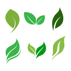 Several Different Shapes of Green Leaves, with transparent background, PNG