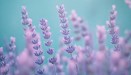 Obraz premium A single pastel color, such as mint green or lavender, providing a soothing and simple backdrop