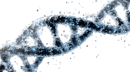 3D Render of a Blue Water-like DNA Helix with a Transparent Background