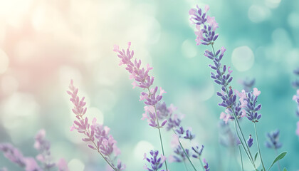 Obraz premium A single pastel color, such as mint green or lavender, providing a soothing and simple backdrop