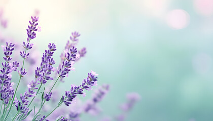 Obraz premium Soft watercolor splashes or strokes in muted tones, offering an artistic yet understated look