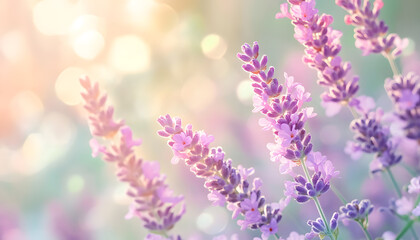 Obraz premium Soft watercolor splashes or strokes in muted tones, offering an artistic yet understated look