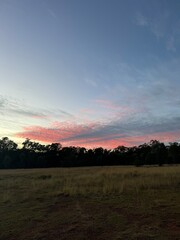 sunset over the field