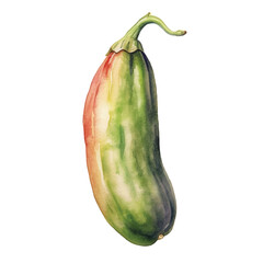 Watercolor of Bean isolated white background