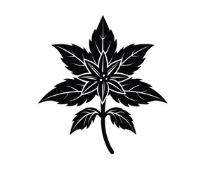 black and white flowers isolated silhouette