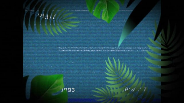 Tropical leaves animation over blue static screen with text 1993
