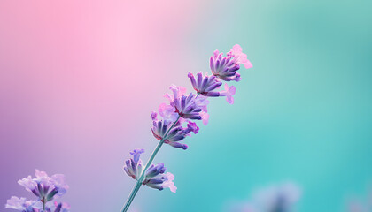 Fototapeta premium Soft watercolor splashes or strokes in muted tones, offering an artistic yet understated look