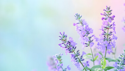 Fototapeta premium Soft watercolor splashes or strokes in muted tones, offering an artistic yet understated look