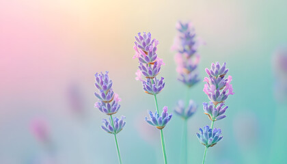 Fototapeta premium Soft watercolor splashes or strokes in muted tones, offering an artistic yet understated look