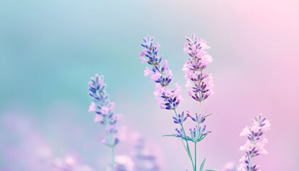 Obraz premium Soft watercolor splashes or strokes in muted tones, offering an artistic yet understated look