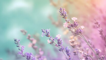 Obraz premium Soft watercolor splashes or strokes in muted tones, offering an artistic yet understated look
