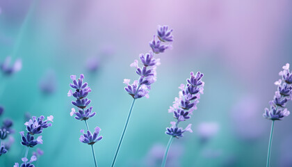 Obraz premium Soft watercolor splashes or strokes in muted tones, offering an artistic yet understated look