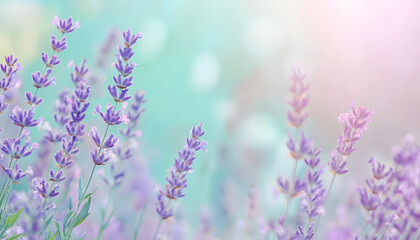 Obraz premium Soft watercolor splashes or strokes in muted tones, offering an artistic yet understated look