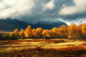 Fototapeta premium Golden autumn trees against a dramatic sky in a mountain landscape. Generative AI