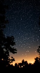 vertical view of stars in Milky Way and Perseid meteor shower with trees at background