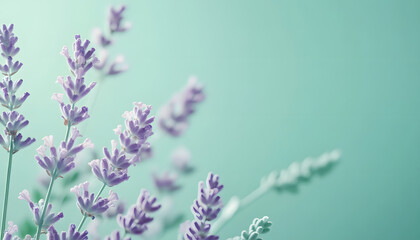 Obraz premium Soft watercolor splashes or strokes in muted tones, offering an artistic yet understated look