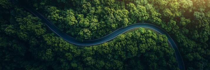 Aerial perspective showcases a winding coastal road surrounded by vibrant, lush greenery illuminated by warm sunlight, illustrating the beauty of nature's landscape