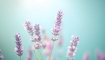 Fototapeta premium A single pastel color, such as mint green or lavender, providing a soothing and simple backdrop