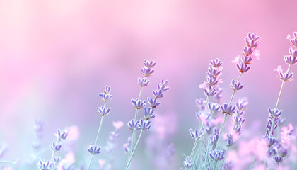 Obraz premium A single pastel color, such as mint green or lavender, providing a soothing and simple backdrop