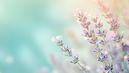 Fototapeta premium A single pastel color, such as mint green or lavender, providing a soothing and simple backdrop