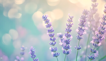 Obraz premium A single pastel color, such as mint green or lavender, providing a soothing and simple backdrop