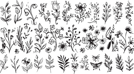 
Big set of decorative elements and vector graphics in a hand drawn floral ornament collection with line on a white background
