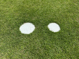 芝生と雨水・汚水マス