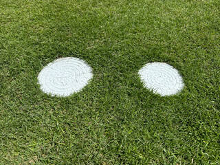 芝生と雨水・汚水マス