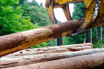 木材運搬用トラックに積載されるバイオマス用燃料用の木材