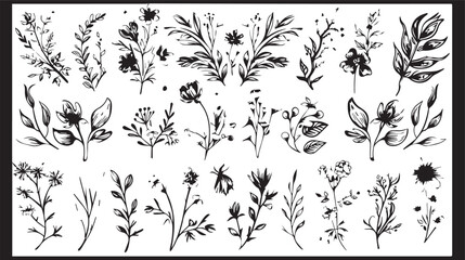 
Big set of decorative elements and vector graphics in a hand drawn floral ornament collection with line on a white background