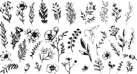 
Big set of decorative elements and vector graphics in a hand drawn floral ornament collection with line on a white background