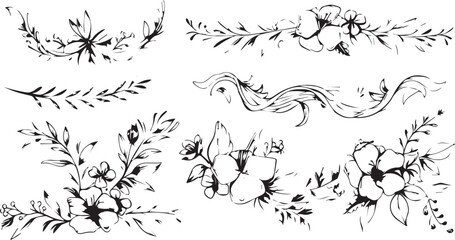 
Big set of decorative elements and vector graphics in a hand drawn floral ornament collection with line on a white background