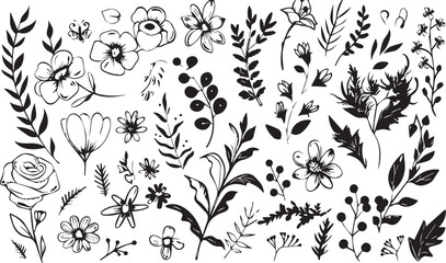 
Big set of decorative elements and vector graphics in a hand drawn floral ornament collection with line on a white background