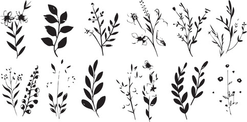 
Big set of decorative elements and vector graphics in a hand drawn floral ornament collection with line on a white background