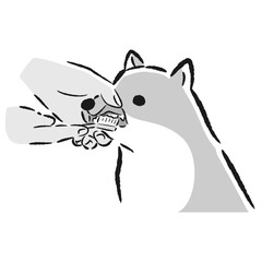 犬の歯みがきの手描きイラスト