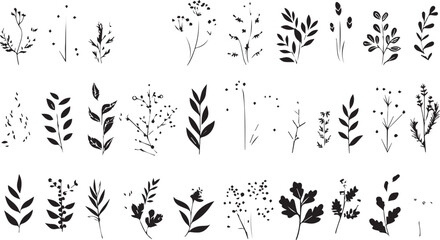 
Big set of decorative elements and vector graphics in a hand drawn floral ornament collection with line on a white background