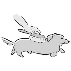 犬をブラッシングするイラスト