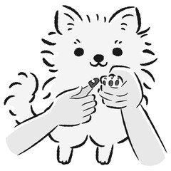 爪切りをするチワワの手描きイラスト
